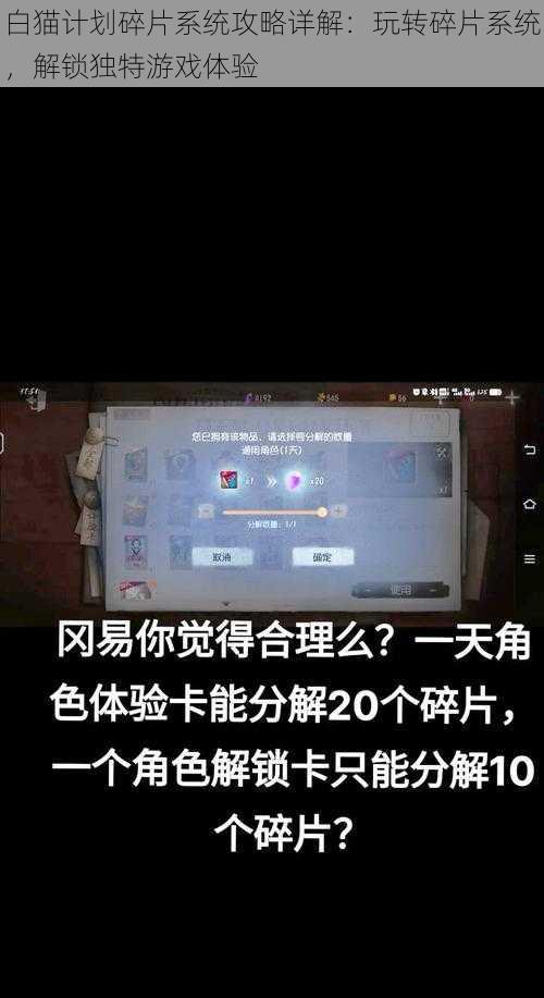 白猫计划碎片系统攻略详解：玩转碎片系统，解锁独特游戏体验