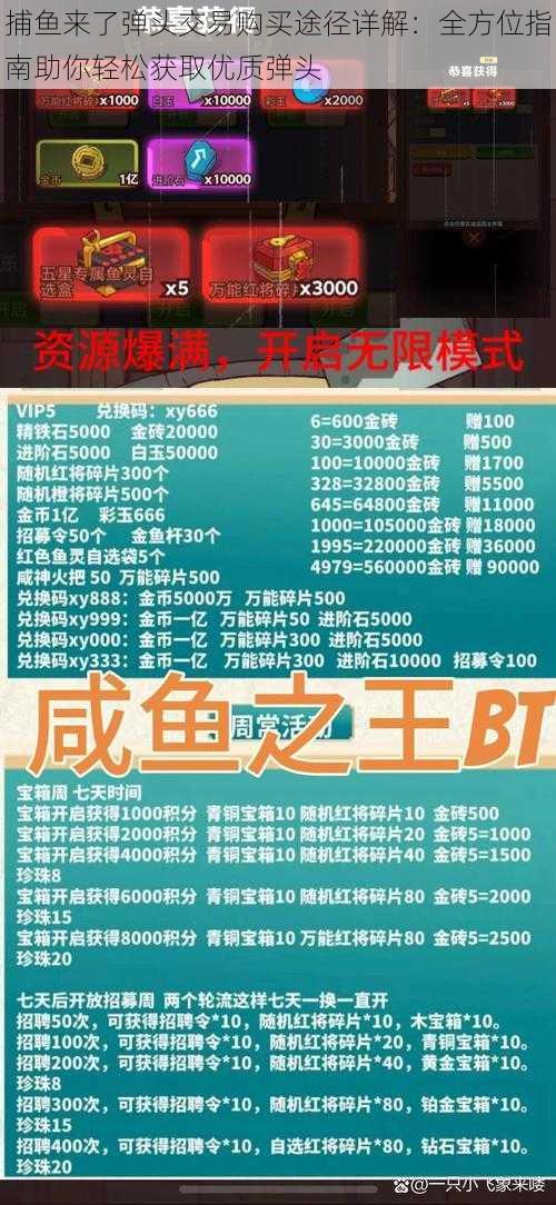 捕鱼来了弹头交易购买途径详解：全方位指南助你轻松获取优质弹头