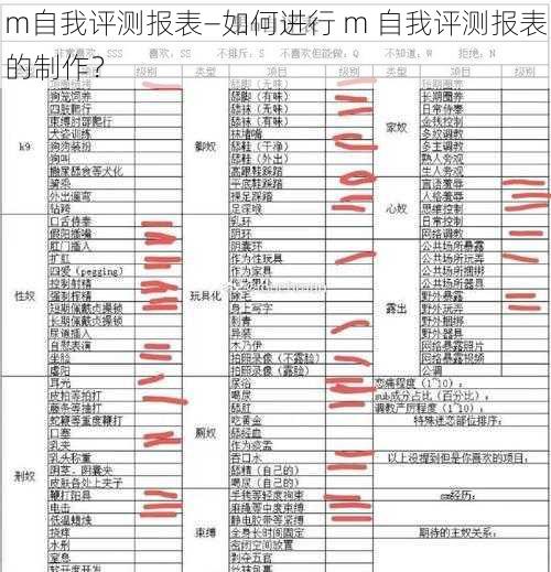 m自我评测报表—如何进行 m 自我评测报表的制作？