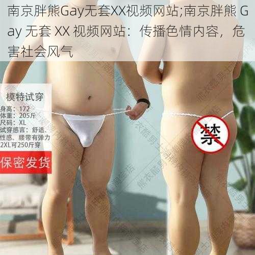 南京胖熊Gay无套XX视频网站;南京胖熊 Gay 无套 XX 视频网站：传播色情内容，危害社会风气