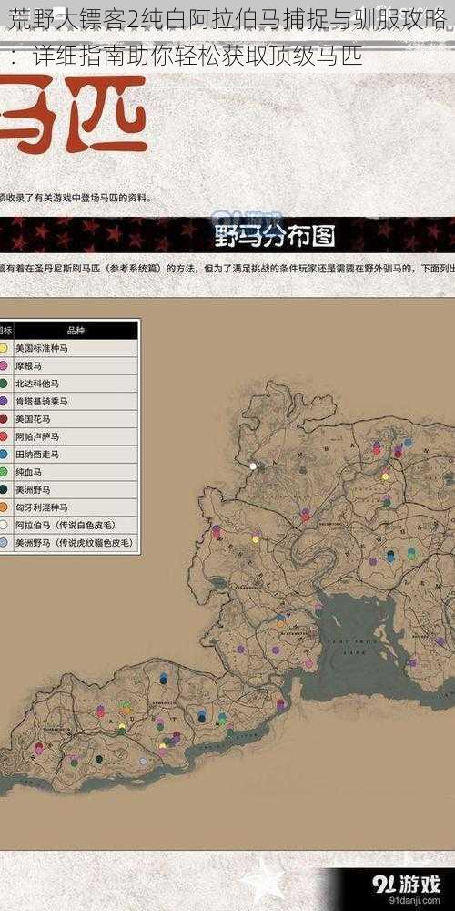 荒野大镖客2纯白阿拉伯马捕捉与驯服攻略：详细指南助你轻松获取顶级马匹