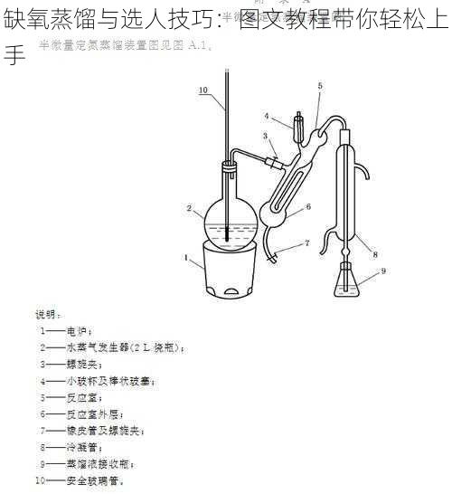 缺氧蒸馏与选人技巧：图文教程带你轻松上手