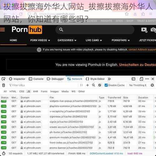 拔擦拔擦海外华人网站_拔擦拔擦海外华人网站，你知道有哪些吗？