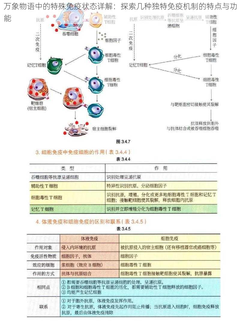 万象物语中的特殊免疫状态详解：探索几种独特免疫机制的特点与功能