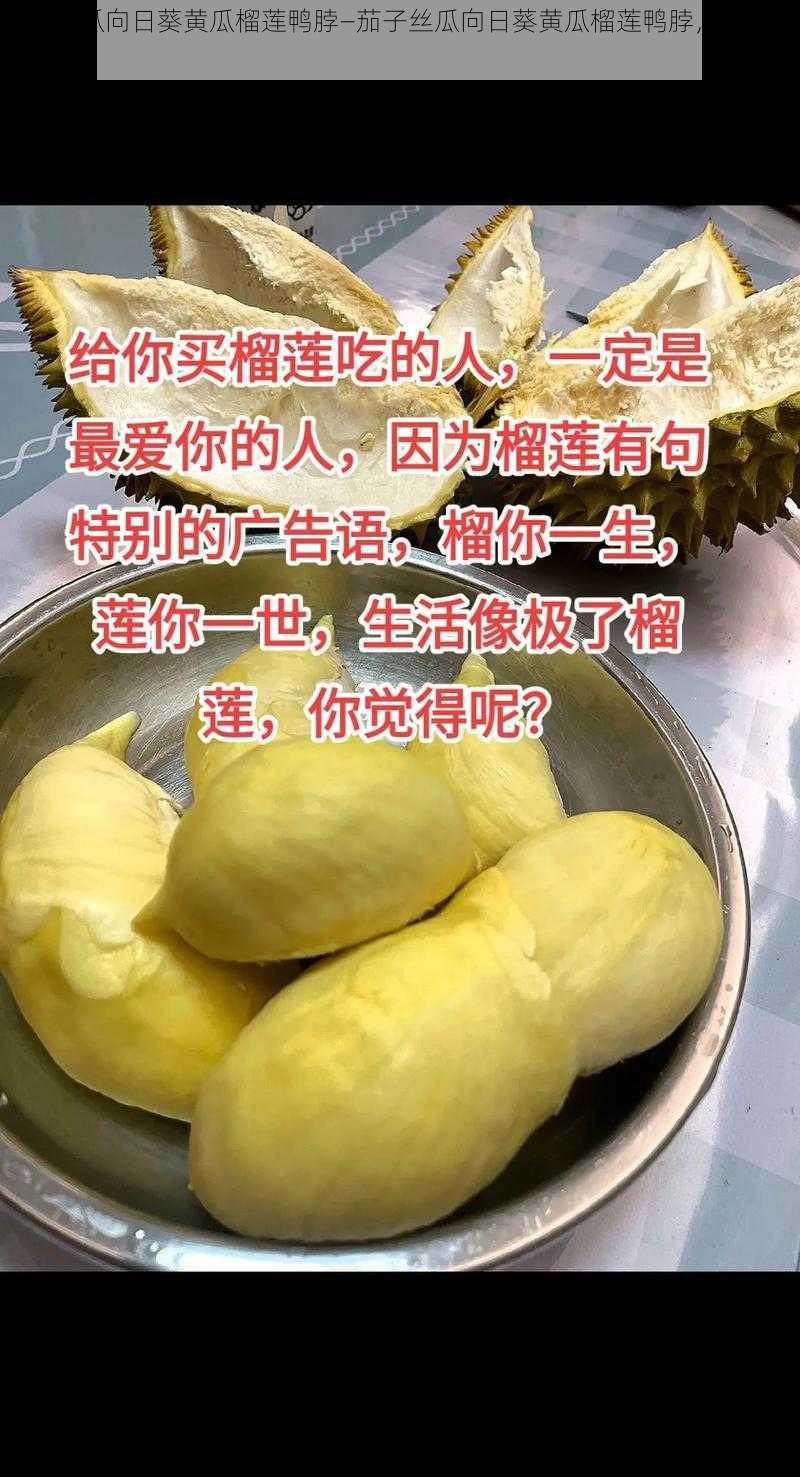 茄子丝瓜向日葵黄瓜榴莲鸭脖—茄子丝瓜向日葵黄瓜榴莲鸭脖，谁是你的最爱？