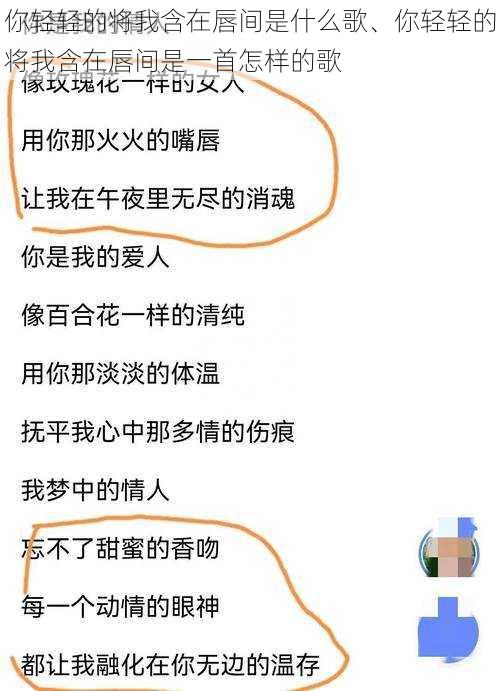 你轻轻的将我含在唇间是什么歌、你轻轻的将我含在唇间是一首怎样的歌