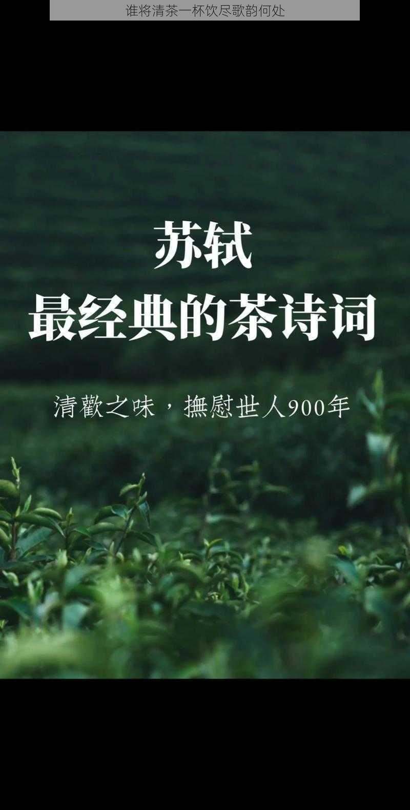 谁将清茶一杯饮尽歌韵何处