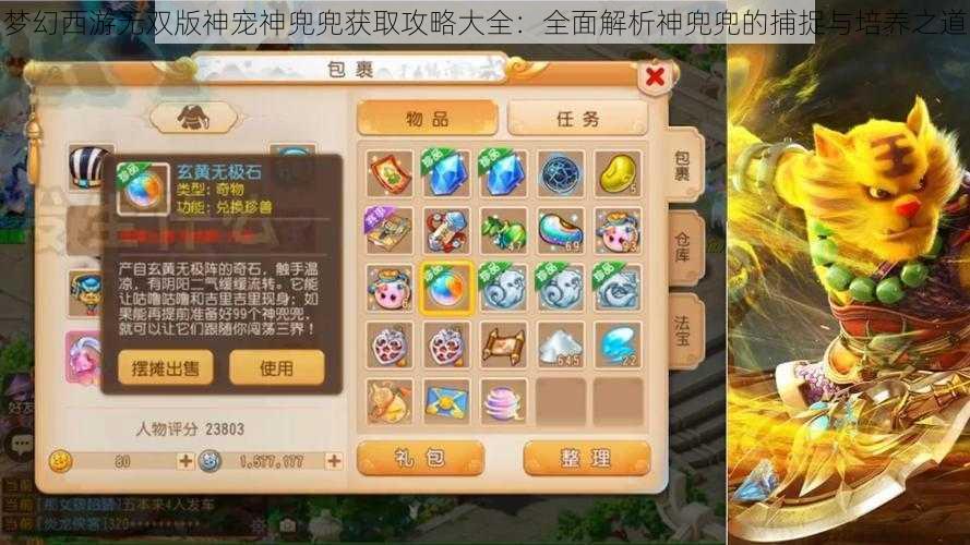 梦幻西游无双版神宠神兜兜获取攻略大全：全面解析神兜兜的捕捉与培养之道