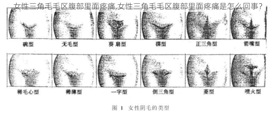 女性三角毛毛区腹部里面疼痛,女性三角毛毛区腹部里面疼痛是怎么回事？