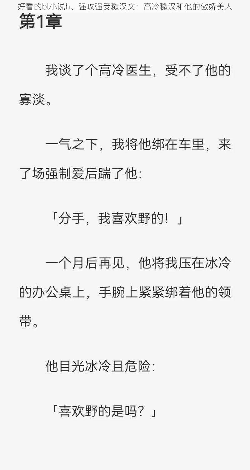 好看的bl小说h、强攻强受糙汉文：高冷糙汉和他的傲娇美人