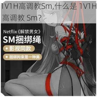 1V1H高调教Sm,什么是 1V1H 高调教 Sm？