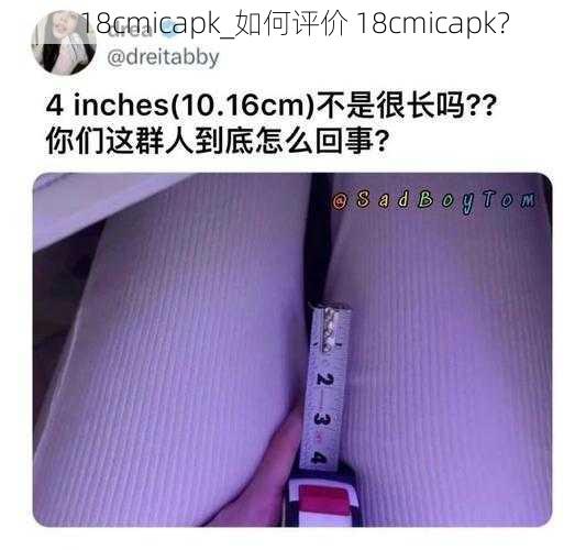 18cmicapk_如何评价 18cmicapk？