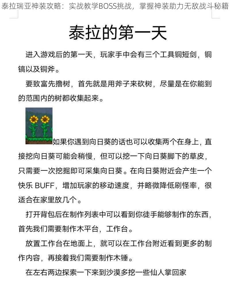 泰拉瑞亚神装攻略：实战教学BOSS挑战，掌握神装助力无敌战斗秘籍