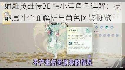 射雕英雄传3D韩小莹角色详解：技能属性全面解析与角色图鉴概览