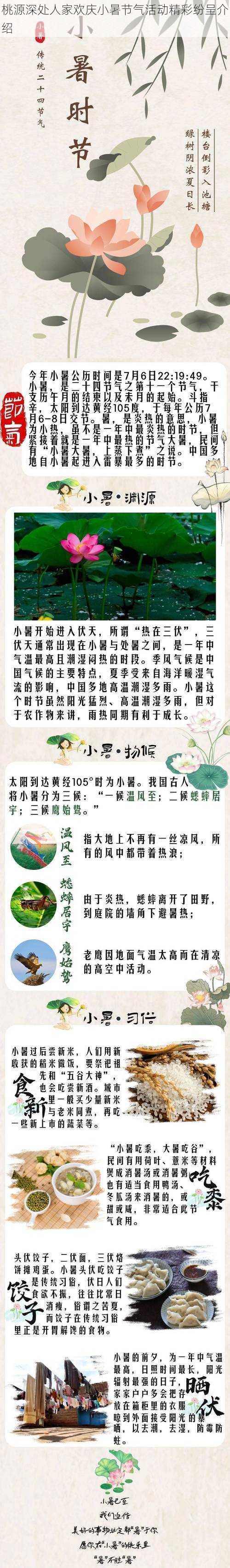 桃源深处人家欢庆小暑节气活动精彩纷呈介绍