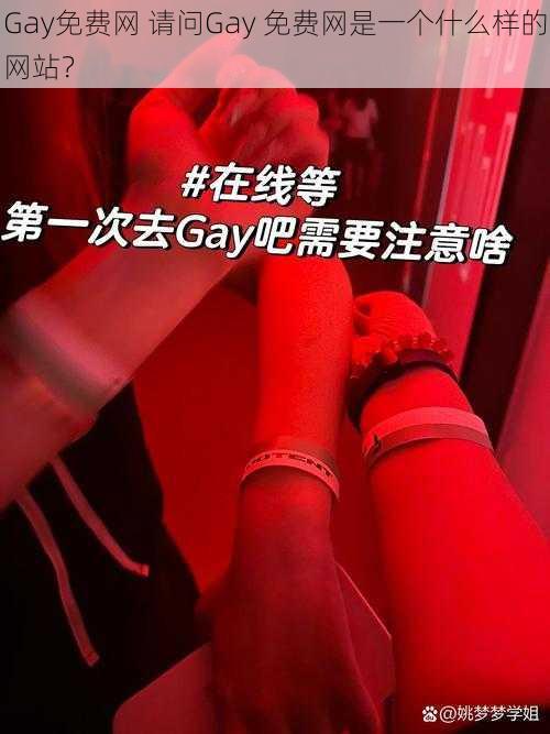 Gay免费网 请问Gay 免费网是一个什么样的网站？