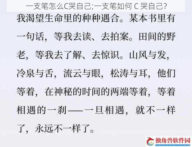 一支笔怎么C哭自己;一支笔如何 C 哭自己？