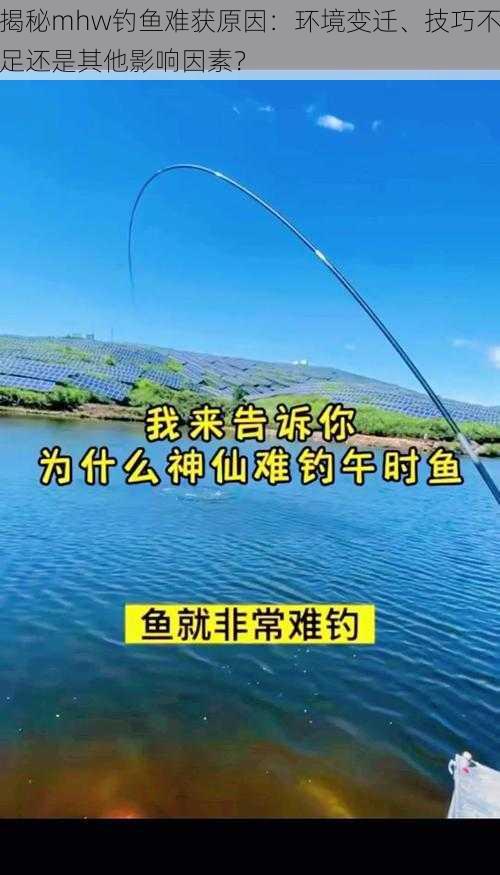 揭秘mhw钓鱼难获原因：环境变迁、技巧不足还是其他影响因素？