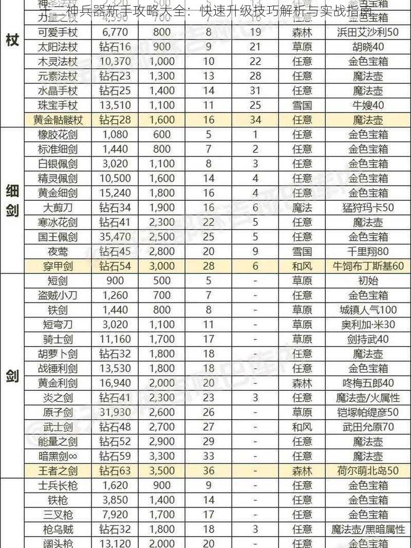 十二神兵器新手攻略大全：快速升级技巧解析与实战指南