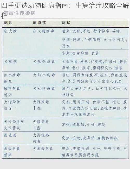 四季更迭动物健康指南:生病治疗攻略全解析