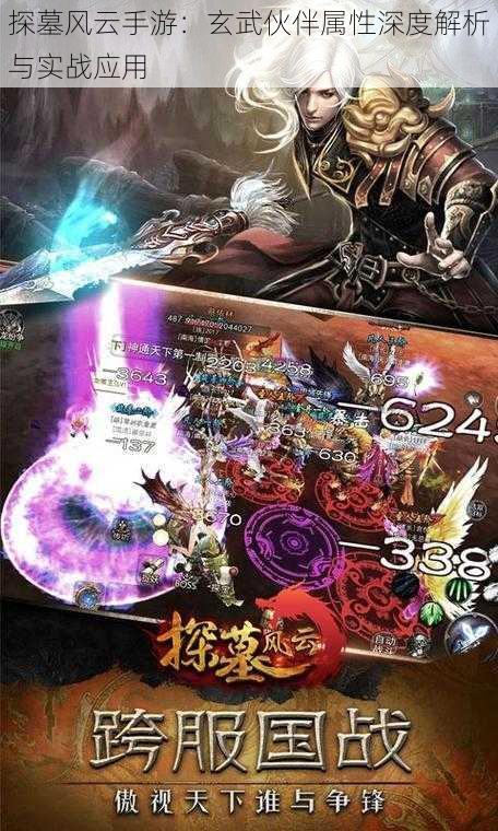 探墓风云手游:玄武伙伴属性深度解析与实战应用