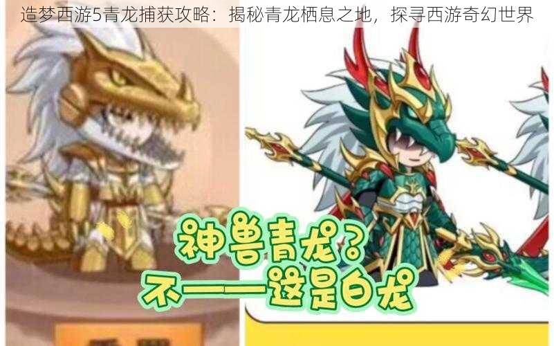 造梦西游5青龙捕获攻略:揭秘青龙栖息之地,探寻西游奇幻世界