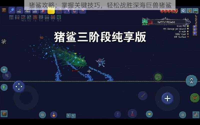 猪鲨攻略:掌握关键技巧,轻松战胜深海巨兽猪鲨